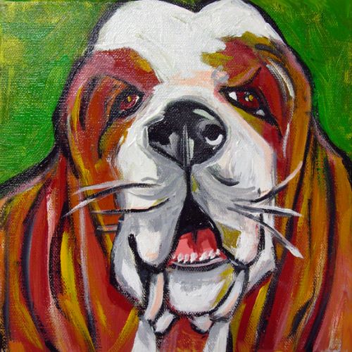Bassett Hound